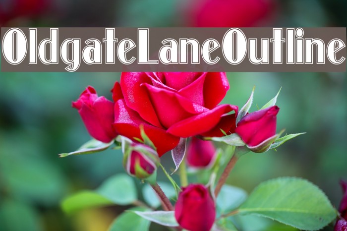 OldgateLaneOutline Font examples