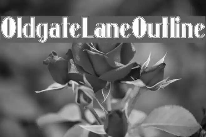 OldgateLaneOutline Font examples