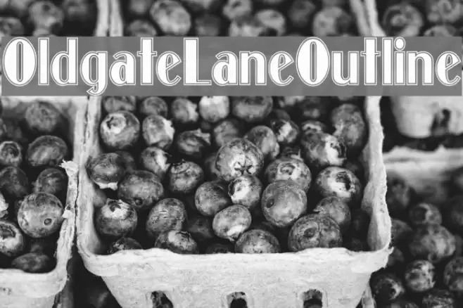 OldgateLaneOutline Font examples
