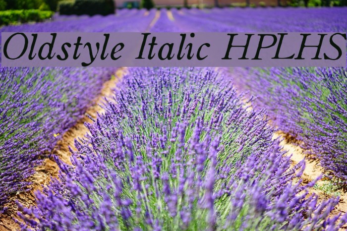Oldstyle Italic HPLHS Font examples