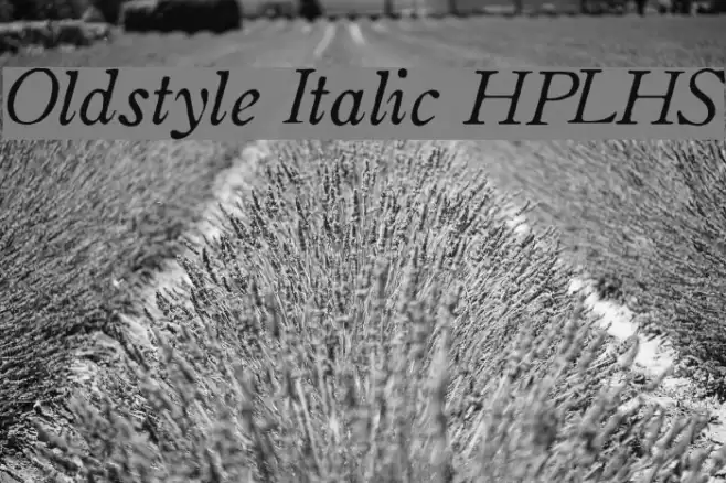 Oldstyle Italic HPLHS Шрифта examples