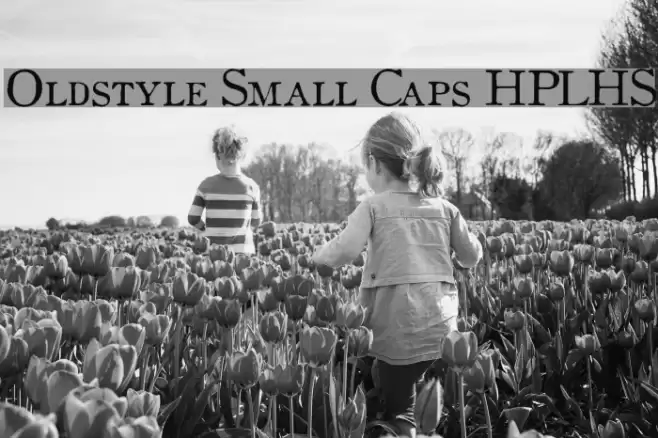 Oldstyle Small Caps HPLHS Font examples
