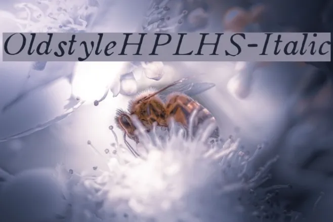 OldstyleHPLHS-Italic Example 2