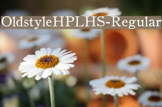 OldstyleHPLHS-Regular Example 1
