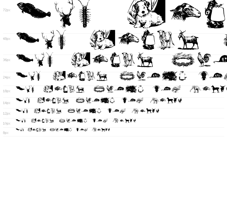 OldstyleZoo Waterfall