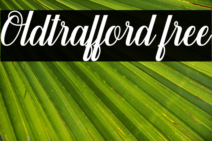 Oldtrafford free Example 1