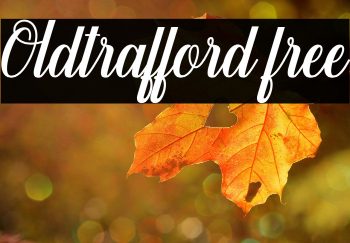 Oldtrafford free Example 2