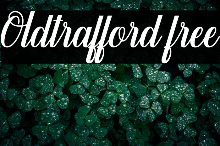 Oldtrafford free Example 3