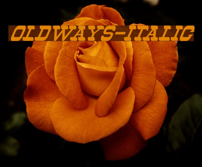 Oldways-Italic Example 3