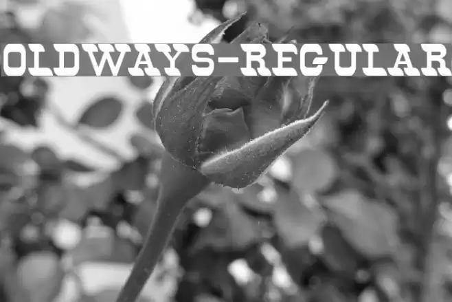 Oldways-Regular Шрифта examples