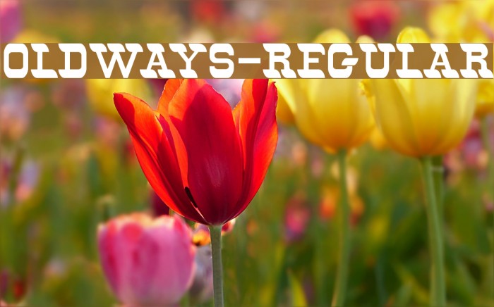 Oldways-Regular Шрифта examples