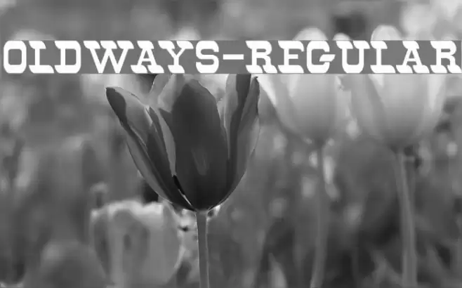 Oldways-Regular Шрифта examples