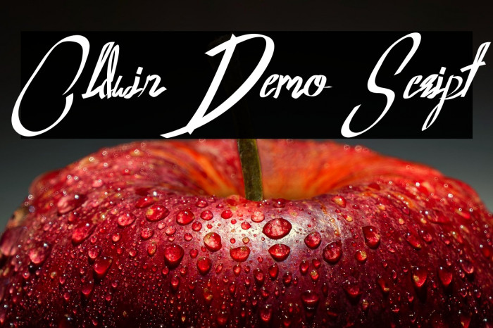 Oldwin Demo Script Example 1
