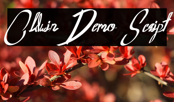 Oldwin Demo Script Example 2