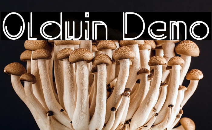 Oldwin Demo Example 3