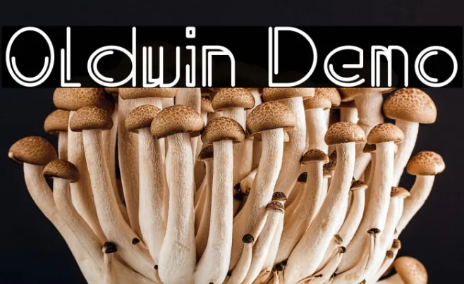 Oldwin Demo Example 3