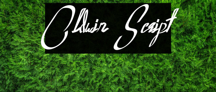 Oldwin Script Font examples