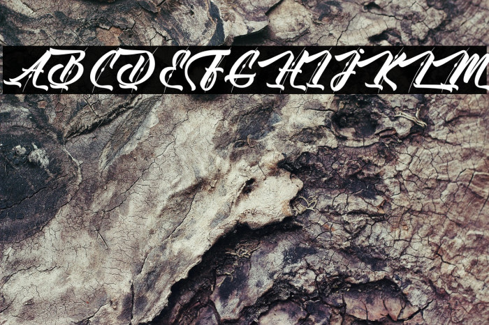 Ole Blizzard - Personal Use Example 2