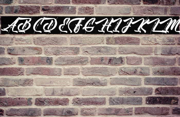 Ole Blizzard - Personal Use Example 3