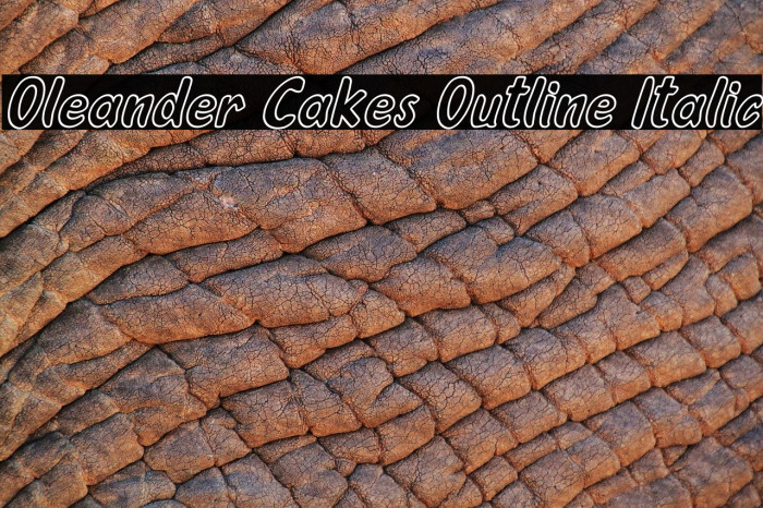 Oleander Cakes Outline Italic Font examples