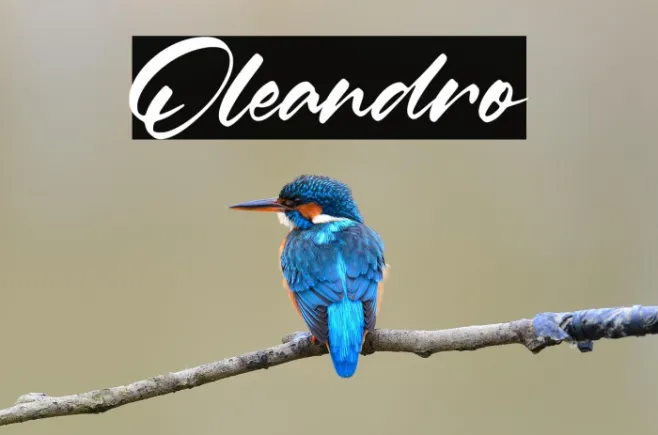 Oleandro Example 1