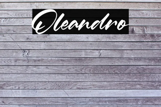 Oleandro Example 2