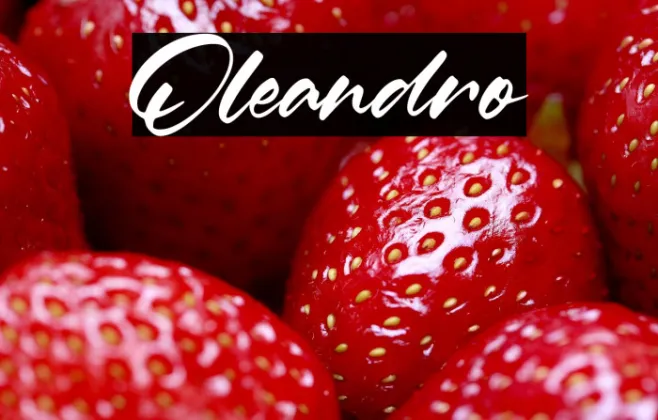 Oleandro Example 3
