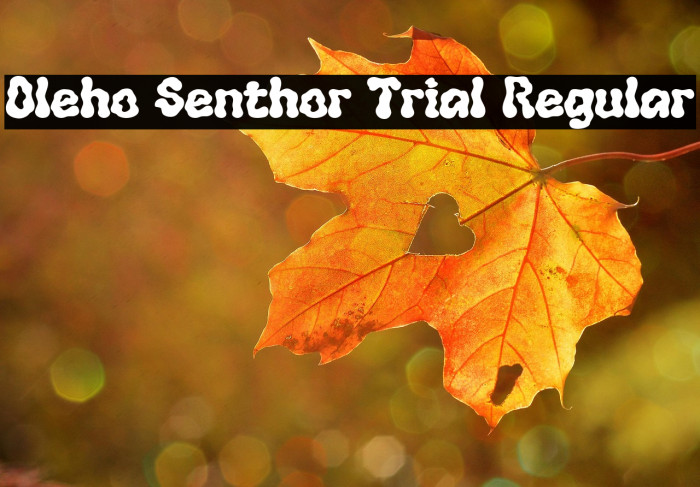 Oleho Senthor Trial Regular Font examples