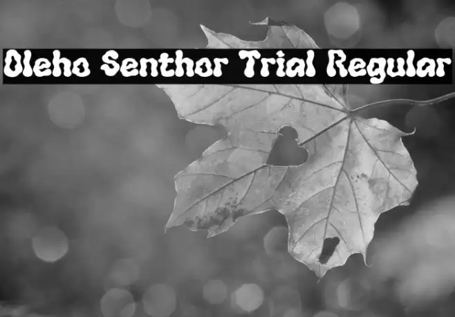 Oleho Senthor Trial Regular خط examples