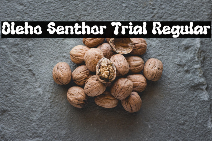 Oleho Senthor Trial Regular Font examples