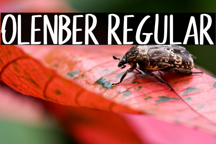 Olenber Regular Example 1