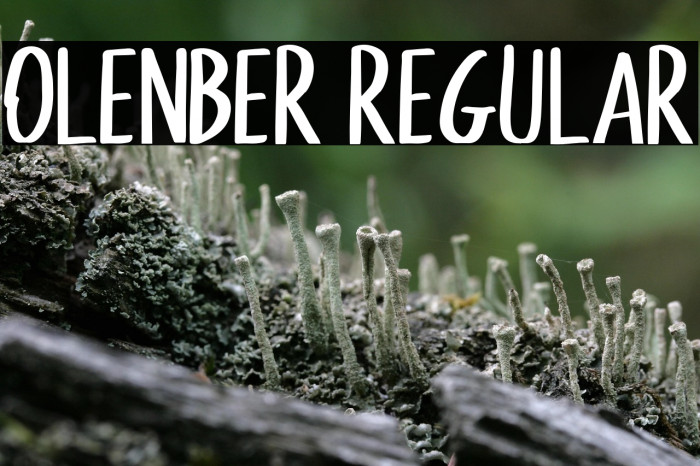 Olenber Regular Example 3