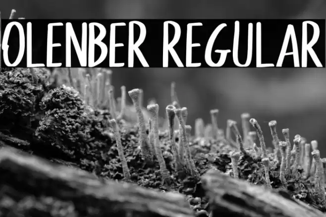 Olenber Regular Fuentes examples