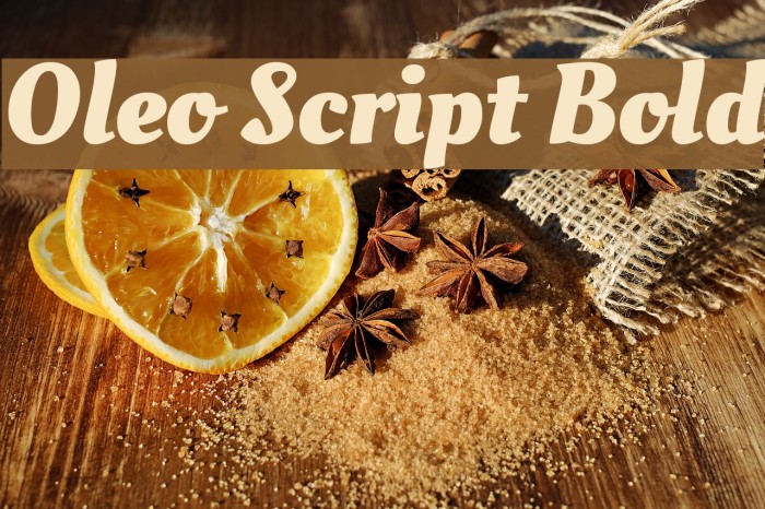 Oleo Script Bold Font examples