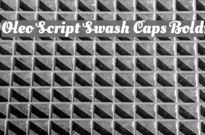Oleo Script Swash Caps Bold Font examples