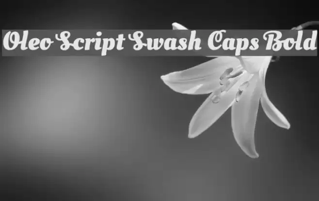 Oleo Script Swash Caps Bold Font examples