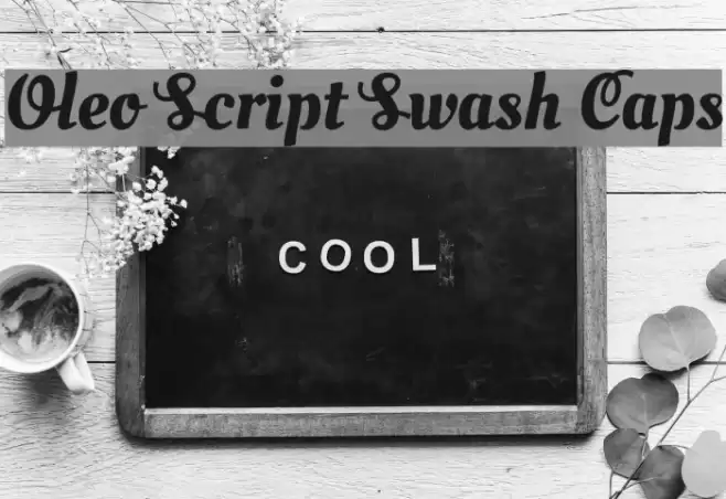 Oleo Script Swash Caps Font examples