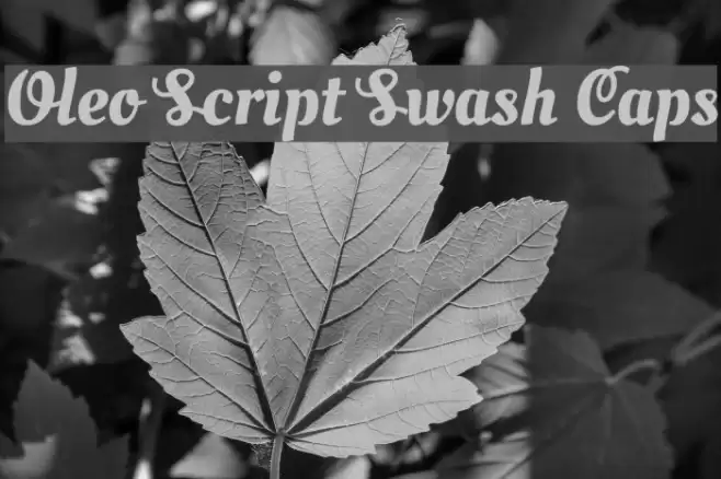 Oleo Script Swash Caps Font examples