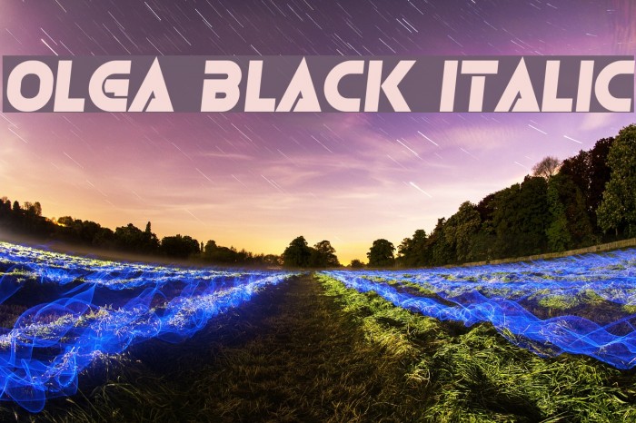 Olga Black Italic Font examples