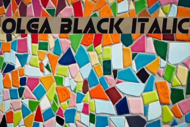 Olga Black Italic Example 3
