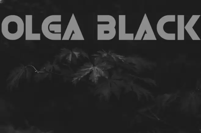 Olga Black Font examples