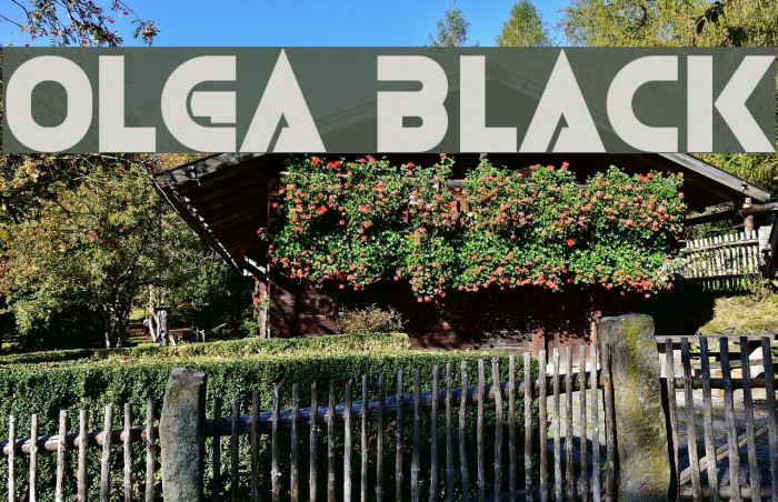 Olga Black Example 2