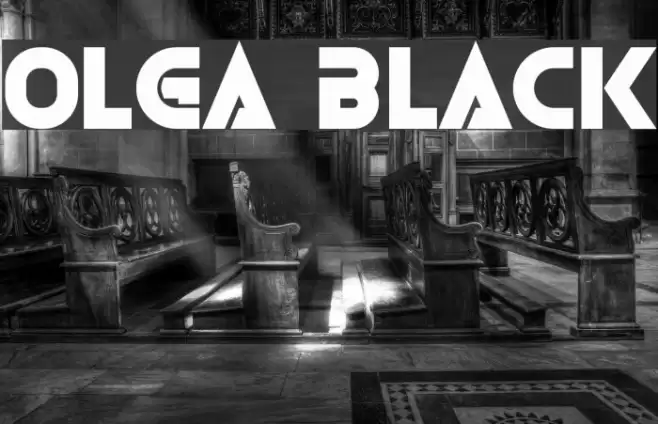 Olga Black Font examples