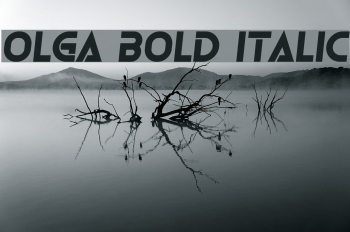 Olga Bold Italic Font examples