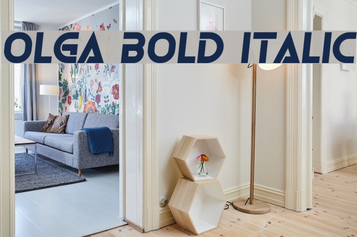 Olga Bold Italic Font examples
