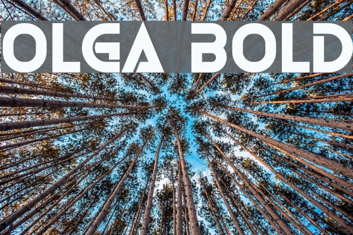 Olga Bold Font examples
