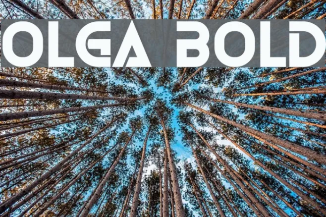 Olga Bold Example 1