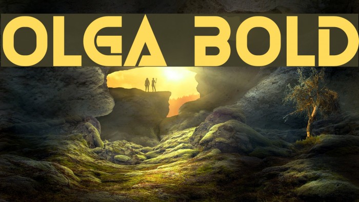 Olga Bold Font examples