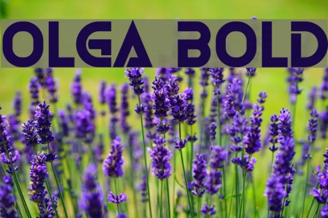 Olga Bold Example 3