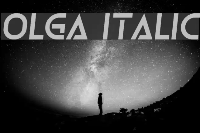 Olga Italic Font examples